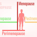 The different stages of Menopause