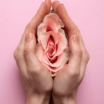 Common Causes of Abnormal Vaginal Bleeding in Postmenopausal Women